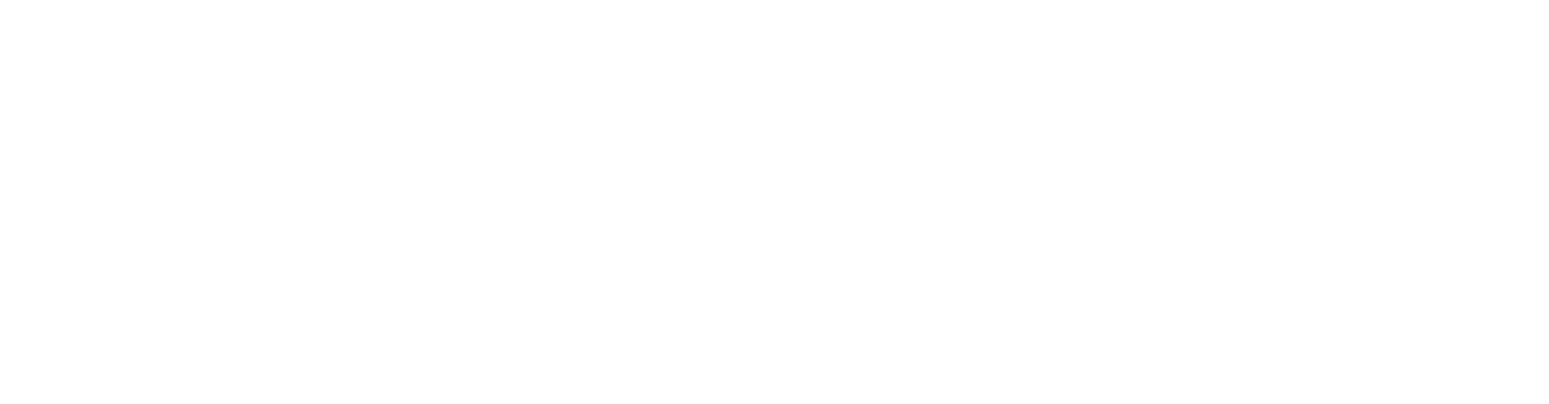 White Libra OS logo